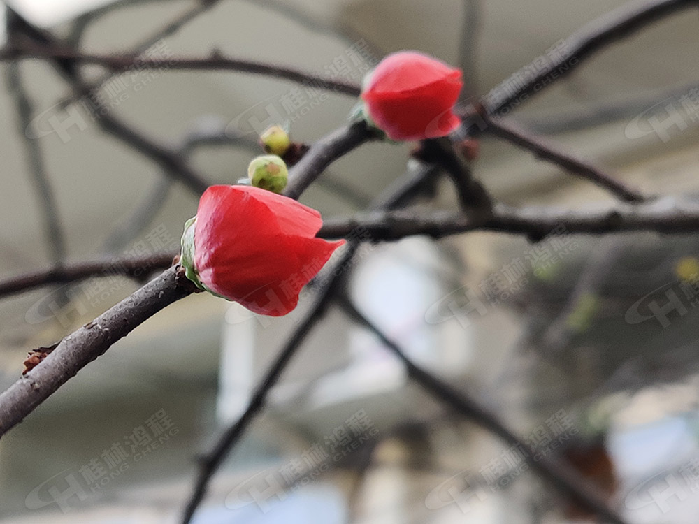 桂林鴻程花團錦簇，滿園春色，邀您一起共賞春景，共商大計！