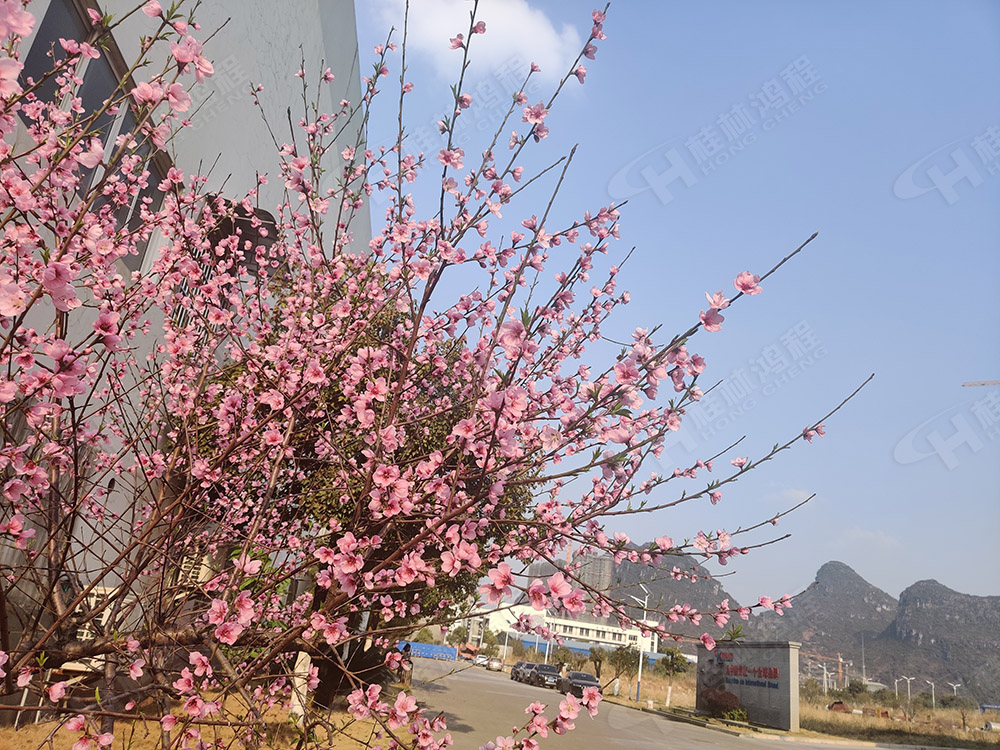 桂林鴻程花團錦簇，滿園春色，邀您一起共賞春景，共商大計！